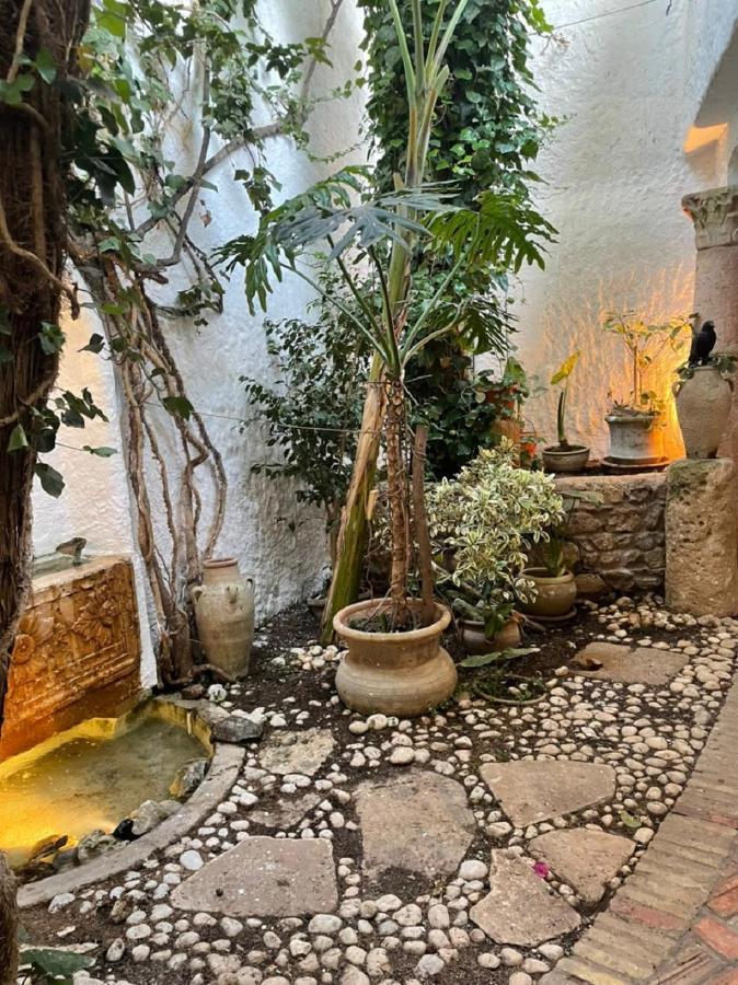 Holiday home Maison Des Cypres *
